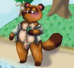 animal_crossing anthro beach bulge canid canine clothed clothing hi_res illiums_den male mammal nintendo open_clothing open_shirt open_topwear outside raccoon_dog shirt solo tanuki tom_nook_(animal_crossing) topwear underwear