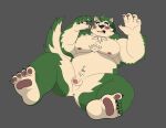 anthro anus balls belly blush canid canine canis domestic_dog eyebrows flaccid fur genitals green_body green_fur hi_res kinkybaradudes lifewonders live_a_hero male mammal mokdai navel nude overweight pawpads penis perineum solo thick_eyebrows