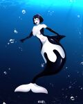 2026 4:5 absurd_res aquatic black_body black_hair black_lips breasts bubble cetacean dolphin dorsal_fin duderedblue featureless_breasts female fin fish_tail hair hi_res humanoid_merfolk lips mammal merfolk multicolored_body nude oceanic_dolphin orca solo split_form toothed_whale underwater water white_body