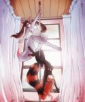 2026 5:6 ailurid anthro areola black_body black_fur blue_eyes brown_hair canid canine canis chest_tuft curtains dancing digital_media_(artwork) duo eyes_closed feet female fur genitals green_eyes hair heterochromia hi_res hindpaw inside long_hair mammal markings nipples nude orange_body orange_fur orange_hair pawpads paws pink_areola pink_nipples pink_pawpads pink_vulva pole pole_dancing red_panda shaded spider_bones striped_markings striped_tail stripes tail tail_markings tuft twintails_(hairstyle) vulva white_body white_fur window wolf