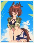  1girl agnes_tachyon_(lunatic_lab)_(umamusume) agnes_tachyon_(umamusume) ahoge animal_ears bikini black_bikini blue_sky breasts brown_hair cleavage closed_mouth cloud commentary criss-cross_halter english_commentary green_jacket hair_between_eyes halterneck highres horse_ears horse_girl horse_tail jacket jritzzz looking_at_viewer medium_breasts medium_hair navel official_alternate_costume open_clothes open_fly open_shorts red_eyes shorts sky smile solo swimsuit tail tied_jacket umamusume wet 