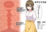  1girl arm_behind_back blood_type brown_hair character_name character_profile commentary_request cross-section grey_eyes highres jewelry long_skirt looking_at_viewer medium_hair necklace original pipi20211026 pointing_out_the_details shirt skirt solo speech_bubble translation_request uterus white_shirt yellow_skirt 