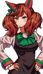  1girl absurdres animal_ears black_dress blush bonoshii bow bowtie breasts brown_eyes brown_hair closed_mouth commentary diagonal-striped_bow dress ear_bow ear_covers ear_ribbon green_bow green_bowtie hands_on_own_hips highres horse_ears horse_girl juliet_sleeves long_sleeves looking_at_viewer medium_breasts medium_hair multicolored_hair nice_nature_(poinsettia_ribbon)_(umamusume) nice_nature_(umamusume) pinafore_dress puffy_sleeves shirt simple_background sleeveless sleeveless_dress solo streaked_hair striped_bow striped_bowtie striped_clothes twintails umamusume white_background 