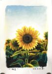  absurdres blue_sky border commentary_request dated day english_commentary field flower flower_field flower_focus highres katayama_joe mixed-language_commentary no_humans original outdoors scenery sky sunflower sunflower_field traditional_media white_border yellow_flower 
