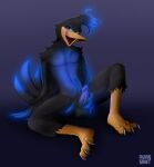  absurd_res anthro avian aviansaint balls banjo-kazooie beak beak_lick bird black_body blue_highlights breegull feathers genitals glowing glowing_body glowing_feathers hi_res highlights_(coloring) holding_penis kugelblitz_(naughtyblitz64) licking looking_at_viewer male penis rareware sitting solo tongue 