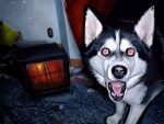 animal_focus camera_flash creepypasta dog highres husky indoors looking_at_viewer nate_d_hernandez no_humans paper photo-referenced real_life red_eyes smile_dog television 