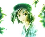  bad_id bad_pixiv_id eruei green_eyes hair_bobbles hair_ornament hat kawashiro_nitori leaf solo touhou two_side_up 