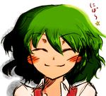  blush blush_stickers closed_eyes closed_mouth green_hair kazami_yuuka lowres portrait roki_(hirokix) short_hair smile solo touhou vest white_background 