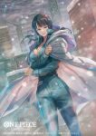  bisaiiiii black_hair blue_bodysuit blue_eyes bodysuit breasts cleavage cloak commentary_request copyright_name cowboy_shot crane_(machine) large_breasts long_hair looking_at_viewer nico_robin official_art one_piece one_piece_card_game outdoors snowing white_cloak 