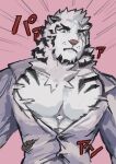  1boy abs animal_ears arknights bara blue_eyes buchi0122 commentary_request cross_scar furry furry_male highres looking_at_viewer male_focus mountain_(arknights) mountain_(book_reader)_(arknights) multiple_scars muscular muscular_male pectoral_cleavage pectorals popped_button scar scar_across_eye scar_on_cheek scar_on_face shirt tiger_boy tiger_ears tiger_stripes translation_request white_shirt 