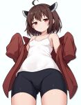  1girl ahoge black_shorts brown_hair camisole closed_mouth from_below headgear highres jacket red_eyes red_jacket removing_jacket short_hair shorts simple_background solo suuchi_maigo_(nan) tight_clothes touhoku_kiritan voiceroid white_background 