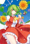  antennae cape clover flower four-leaf_clover green_eyes kazami_yuuka multiple_girls red_eyes short_hair sunflower touhou umbrella watase_rei wriggle_nightbug 