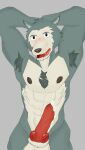 anthro beastars blush bodily_fluids canid canine canis digital_media_(artwork) erection fur genital_fluids genitals hi_res legoshi_(beastars) looking_at_viewer male mammal nipples nude penis psxchoxiller_(artist) simple_background solo wolf