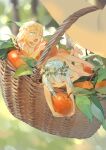  2girls absurdres basket blonde_hair chi_chi3939 completely_nude eating food fruit head_wreath highres holding holding_basket leaf lying mini_person minigirl multiple_girls nude original pointy_ears sitting 
