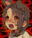  1girl @_@ abstract_background absurdres animal_ears belt_collar collar drugged drugs ear_piercing grey_eyes grey_hair highres motion_lines multiple_piercings open_mouth original piercing pill portrait red_background shirt short_hair solo syrupmelty white_shirt 