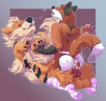  anthro arcanine canid canine clothing clothing_aside duo ejaculation femboy feral feralfather footwear fox generation_1_pokemon hi_res holding_feet holding_paws male male/male mammal nintendo panties panties_aside pokemon pokemon_(species) riding serialdad size_difference socks underwear underwear_aside 