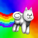  annoying_dog_(undertale) feral nyan_cat_(copyright) rainbow solo toby_fox undertale undertale_(series) whlelly 