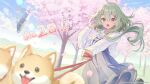  1girl :o ahoge aircraft airship alternate_costume ayame_(3103942) blue_dress blue_sky brown_eyes catherine_(eversoul) cherry_blossoms commentary company_name copyright_notice countdown dog dress eversoul falling_petals green_hair hair_between_eyes hair_ornament hairclip holding holding_leash jacket leash long_sleeves looking_at_another official_art outdoors pet petals pink_petals promotional_art short_hair sky sleeves_past_wrists solo spacecraft welsh_corgi white_jacket 