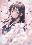  1girl absurdres black_hair blue_neckerchief blurry blurry_foreground blush cherry_blossoms depth_of_field falling_petals highres isshokuitaru long_hair long_sleeves looking_at_viewer neckerchief open_mouth original petals pink_eyes shirt solo very_long_hair white_shirt 