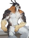 2023 abs accipitrid accipitriform anthro aquilinae avian beak biceps bird claws covering covering_crotch deltoids eagle feathers hi_res looking_at_viewer male multicolored_body muscular o_reowoof orange_body orange_feathers ornate_hawk-eagle pecs simple_background sitting solo triceps two_tone_body white_background yellow_sclera 