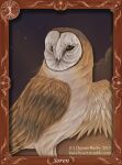  2013 ambiguous_gender avian barn_owl bird brown_body brown_eyes brown_feathers bubsyart cloud feathers feral guardians_of_ga&#039;hoole hi_res night owl picture_frame solo soren_(gogh) star text tyto tytonid url white_body white_feathers 
