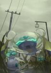  &gt;_&lt; absurdres araquanid closed_eyes cloud cloudy_sky commentary_request dewpider evolutionary_line from_below goomy grass highres king_joe_(neoroto) no_humans outdoors pokemon pokemon_(creature) power_lines puddle reflection sky utility_pole water 