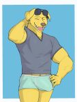 2024 3:4 anthro big_bulge biped bird_dog blue_background bojack_horseman border boxer_briefs bulge canid canine canis clothed clothing colored_seam_underwear domestic_dog erection erection_under_clothing eyebrows eyes_closed eyewear eyewear_on_head fur green_boxer_briefs green_clothing green_underwear hand_behind_head hand_on_hip hi_res huge_bulge hunting_dog jrjresq labrador male mammal mr._peanutbutter muscular muscular_anthro muscular_male netflix open_mouth open_smile retriever shirt simple_background smile solo standing sunglasses sunglasses_on_head teeth tongue topwear tuft underwear white_border white_seam_boxer_briefs white_seam_underwear