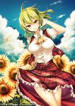  ascot blue_sky checkered checkered_skirt checkered_vest cloud day flower green_hair kaio_(watagami) kazami_yuuka petals red_eyes skirt skirt_lift sky solo sunflower touhou vest wind 