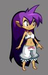  alternate_hairstyle animated animated_gif barefoot bloomers crop_top crop_top_overhang idle_animation long_hair lowres matt_bozon midriff navel official_art pajamas pointy_ears purple_hair shantae_(character) shantae_(series) smile solo underwear very_long_hair 