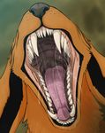  breath canine close-up dripping drooling fangs feral fox fur gaping_mouth green_background gums invalid_tag kurama mammal mouth_shot naruto open_mouth orange_fur ribcagedemon saliva saliva_string simple_background snout solo throat tongue tongue_out 