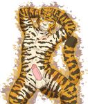  2015 abs anthro balls biceps cat feline looking_at_viewer male mammal muscular nude pecs penis simple_background smile solo stripes tiger tolbi yellow_eyes 