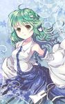  bad_id bad_pixiv_id brown_eyes detached_sleeves green_hair kochiya_sanae long_hair solo touhou unya_(unya-unya) 