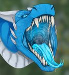  ambiguous_gender blue_eyes blue_gums blue_scales blue_tongue blurred_background breath close-up dragon dripping drooling feral gaping_mouth glacius horn looking_at_viewer mouth_shot ribcagedemon saliva saliva_string scaile scales snout solo spikes throat tongue tongue_out 