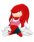  darthglacier echidna knuckles_the_echidna male mammal monotreme penis solo sonic_(series) sonicharinezumi 