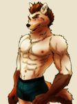  abs anthro blush brown_fur brown_hair bulge canine clothed clothing colored ear_piercing facial_scar fur hair half-dressed looking_at_viewer male mammal maririn multicolored_fur muscular navel nipples pecs piercing scar simple_background solo toned topless two_tone_fur underwear white_background white_fur yellow_eyes 