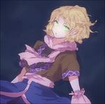  arm_warmers bad_id bad_pixiv_id blonde_hair blue_background braid dutch_angle green_eyes honi looking_at_viewer mizuhashi_parsee open_mouth pointy_ears sash scarf shirt short_hair short_sleeves simple_background skirt solo touhou vest 