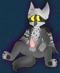  avian bird canine cub cute erection gryphon hybrid liuthekitty775 male mammal osprey pawpads paws penis percy shy solo wolf young zeetyphlosion 