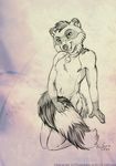  2015 bell collar covering eosfoxx kneeling male mammal nude raccoon sketch solo 