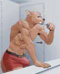 abs anthro armpit_hair athletic athletic_anthro athletic_male bathroom body_hair brown_body brown_fur brush brushing brushing_teeth bulge canid canine canis claws clothing detailed_background erection eyes_closed finger_claws fur groggy happy_trail hi_res kemono male mammal morning_wood nagick_18 pecs shirtless solo tired underwear wolf