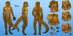  2015 4_toes abs abstract_background animal_genitalia anthro anus backsack balls blue_eyes brown_fur butt claws clothed clothing erection flaccid fully_sheathed fur grin half-dressed knot knot_in_sheath looking_at_viewer male mammal model_sheet multiple_angles muscular mustelid nude open_mouth otter paws pecs penis sheath simple_background smile solo tagg_(cgibeast) toe_claws toes tongue topless tsaiwolf underwear webbed_hands 