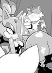  2015 amy_rose anthro balls bat blaze_the_cat breasts canine cat cloudz erection feline female fox handjob hedgehog male mammal miles_prower penis precum rouge_the_bat sex sonic_(series) 