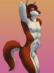  anthro anthrofied balls fur hair long_hair male mammal penis smile virtyalfobo 