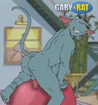  ball balls butt cheesecaked fuzzy gary_andrews gary_the_rat male mammal nude penis rat rodent 
