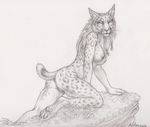  2015 all_fours anthro breasts feline female fur hair leaves long_hair looking_at_viewer lynx mammal monochrome nipples nude pawpads paws pencil_(artwork) pinup portrait pose pussy raised_tail rock rukis shivah side_view simple_background sketch smile solo spotted_body traditional_media_(artwork) tribal white_background 