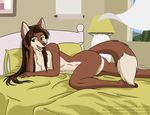  anthro bed breasts brown_eyes brown_hair butt canine cleavage clothed clothing dhole edit female good_cheese hair looking_at_viewer mammal navel nina_morena_agil nude open_mouth rocko_gorilla smile solo 