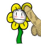  2015 ambiguous_gender balls blush duo erection flora_fauna flower flowey_the_flower hairy_balls human humanoid_penis male mammal monster not_furry penis plant translucent undertale video_games 