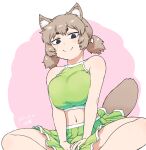  1girl animal_ears black_eyes blush breasts brown_hair crossed_legs dog_ears dog_girl dog_tail feet_out_of_frame green_shirt green_skirt large_breasts legs light_blush looking_at_viewer navel original pink_background shirt short_eyebrows short_hair simple_background skirt sleeveless sleeveless_shirt smile solo stomach tail thighs tsukudani-chan tsukudani_(coke-buta) white_background 
