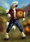 anthro balls_outline blue_bottomwear blue_clothing blue_pants blue_sky bottomwear bulge canid canine clothed clothing cloud dakota_orion detailed_bulge duo equid equine food front_view fruit full-length_portrait fur genital_outline glistening glistening_eyes hair hat headgear headwear hi_res horse looking_at_viewer male male_anthro mammal mohawk muscular muscular_anthro muscular_male open_clothing open_topwear orange_body orange_fur outside pants penis_outline plant portrait pumpkin red_clothing red_topwear satanic_monkey shrub sky solo_focus standing tail tail_wraps tan_hat tan_headwear topwear torn_bottomwear torn_clothing torn_pants white_body white_fur white_hair white_tail wraps