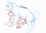 2d_animation akita akita_inu animal_genitalia animal_penis animated aroused balls basenji bedroom_eyes big_penis blinking butt canid canine canine_genitalia canine_penis canis digital_media_(artwork) domestic_dog duo duo_focus erection female female_penetrated feral feral_focus feral_on_feral feral_penetrated feral_penetrating feral_penetrating_feral fluffy fur genitals group huge_penis husky knot kudo looking_at_another male male/female male_penetrating male_penetrating_female mammal mochasplash narrowed_eyes nordic_sled_dog open_mouth paws penetration penile penile_penetration penis penis_in_vagina primitive_dog seductive sex simple_background sketch sketch_animation smile smirk smirking_at_partner spitz suki_(mochasplash) tail vaginal vaginal_penetration vulva x-ray_view x-ray_vision