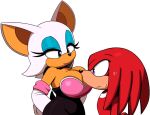 anthro bat big_breasts blue_archer_(artist) bodily_fluids breasts clothing duo echidna female idw_publishing knuckles_the_echidna male mammal monotreme rouge_the_bat sega sonic_the_hedgehog_(comics) sonic_the_hedgehog_(idw) sonic_the_hedgehog_(series) sweat wide_hips